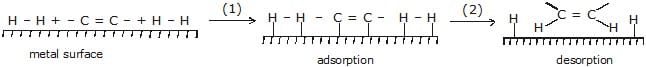 Alkenes: Nomenclature, Properties & Preparation | Chemistry Class 11 - NEET